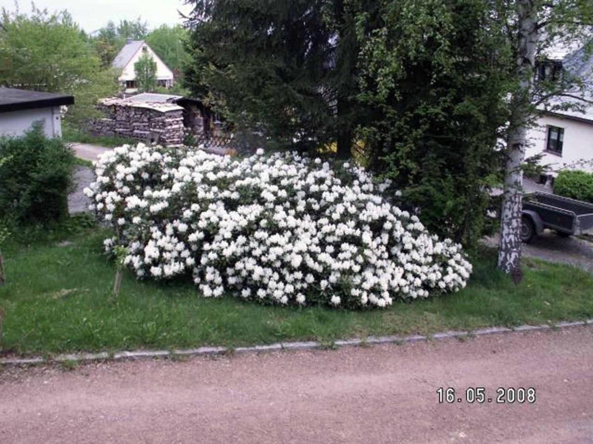 Ferienhaus Ferien Am Waldrand Altenberg Eksteriør bilde